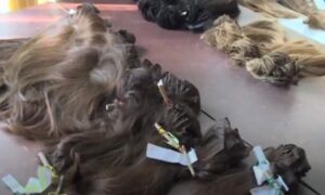Плюсы и минусы париков из натуральных волос или из искусственных